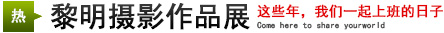 攝影展：這些年，我們一起上班的日子